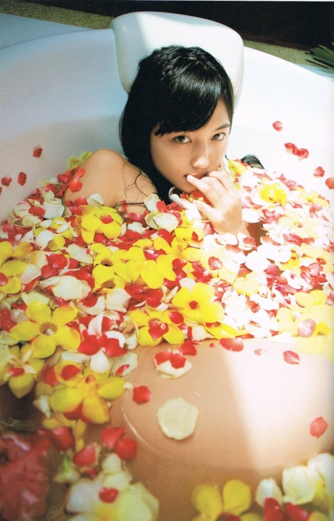 春菜花在线